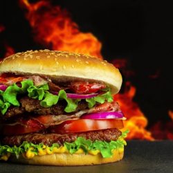 hamburger